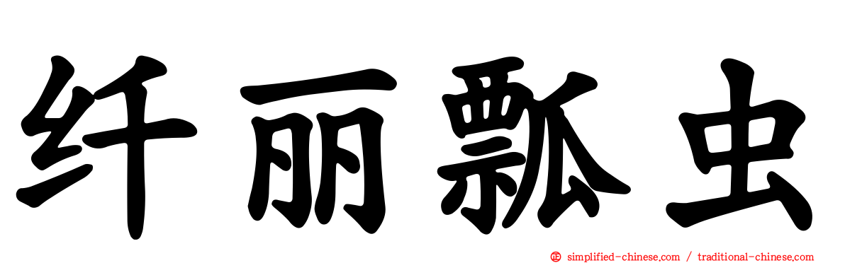 纤丽瓢虫