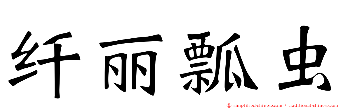 纤丽瓢虫