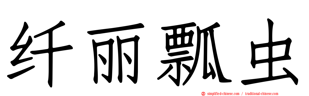 纤丽瓢虫