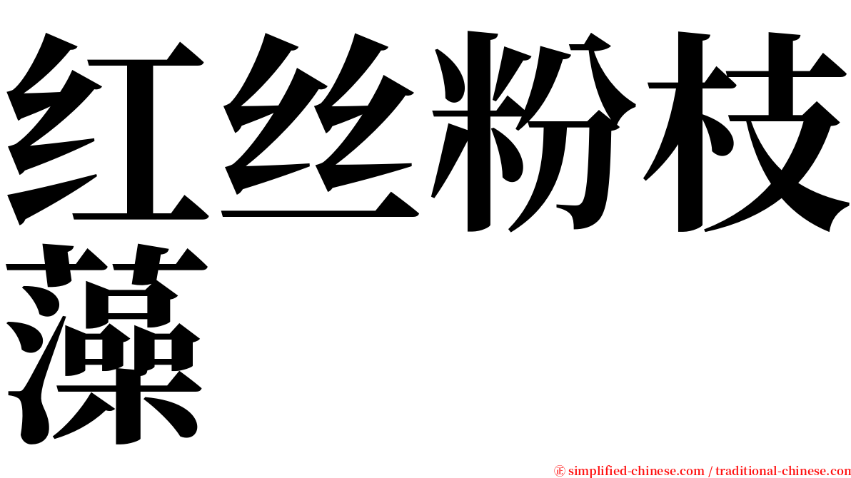 红丝粉枝藻 serif font