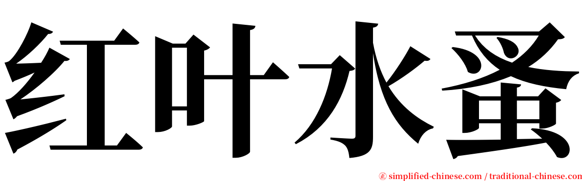 红叶水蚤 serif font