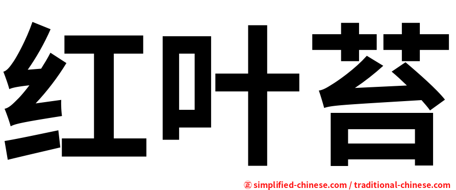 红叶苔