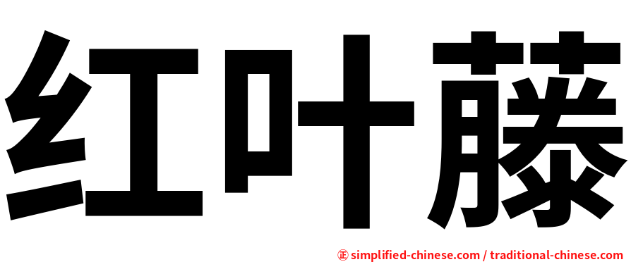 红叶藤