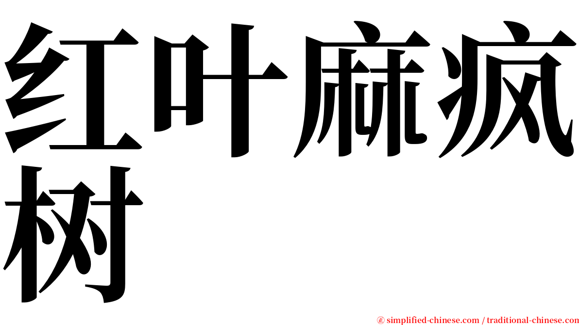 红叶麻疯树 serif font