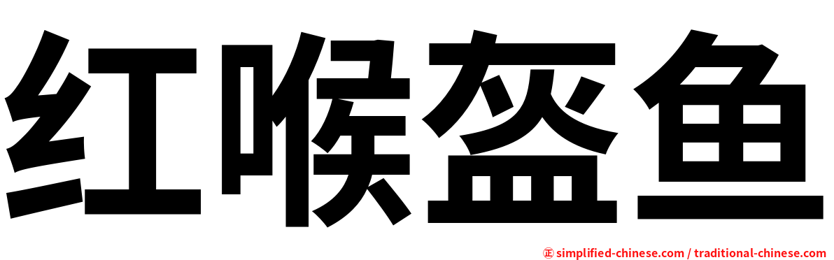 红喉盔鱼