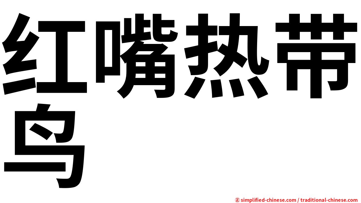 红嘴热带鸟