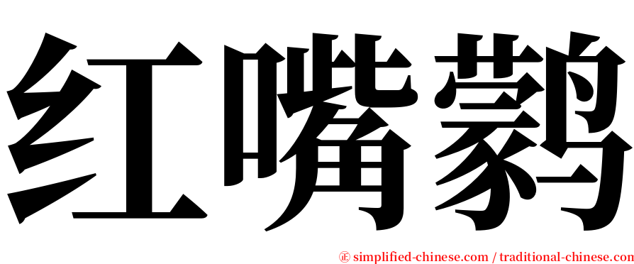 红嘴鹲 serif font