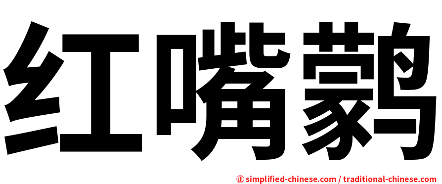 红嘴鹲