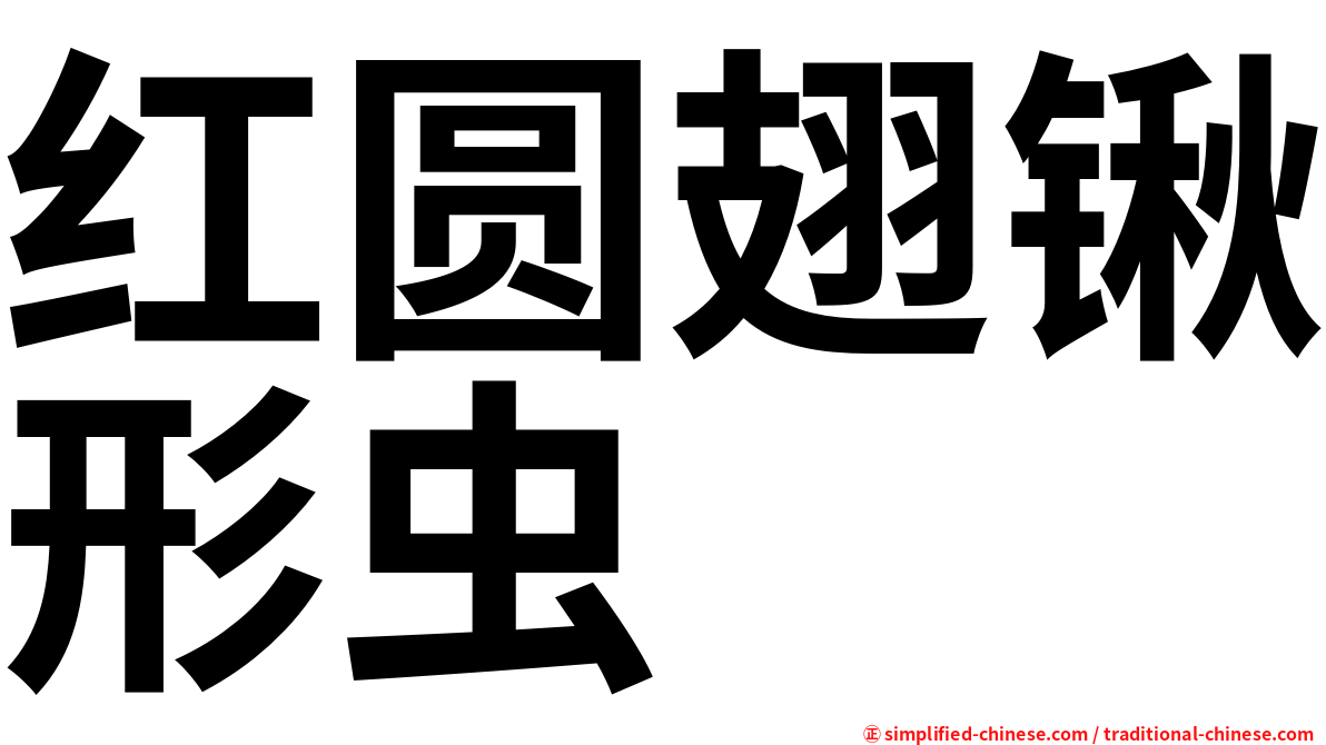 红圆翅锹形虫