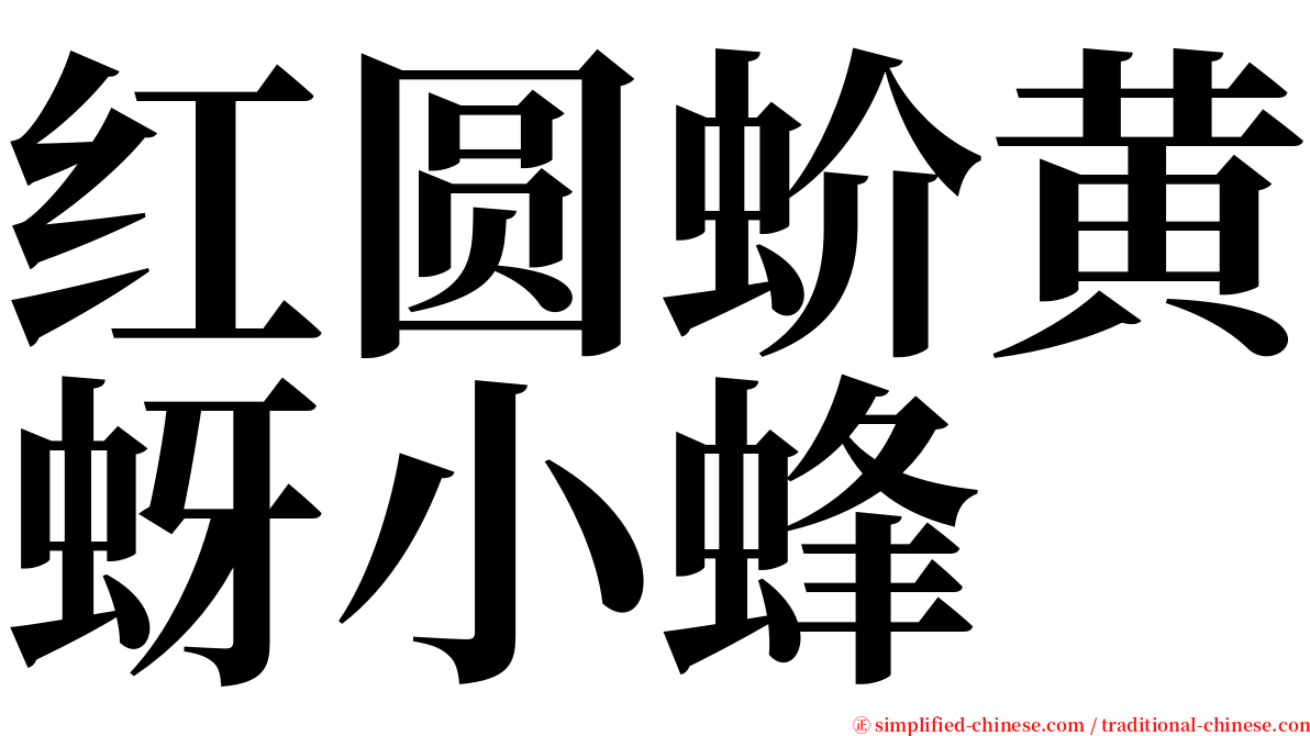红圆蚧黄蚜小蜂 serif font