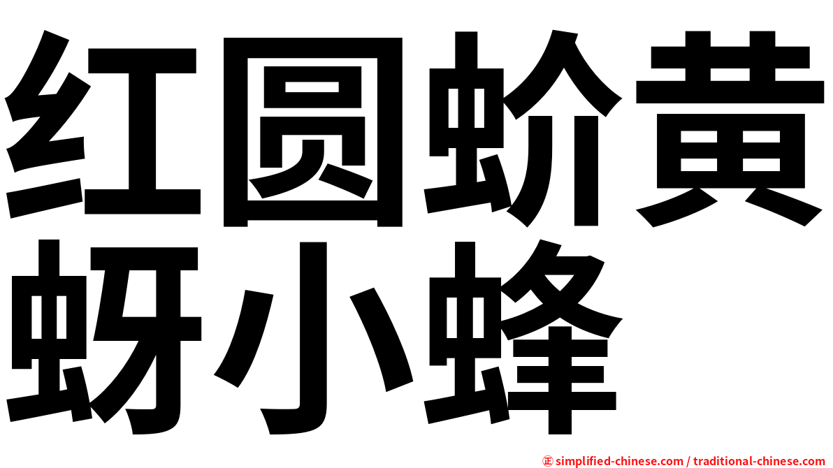 红圆蚧黄蚜小蜂