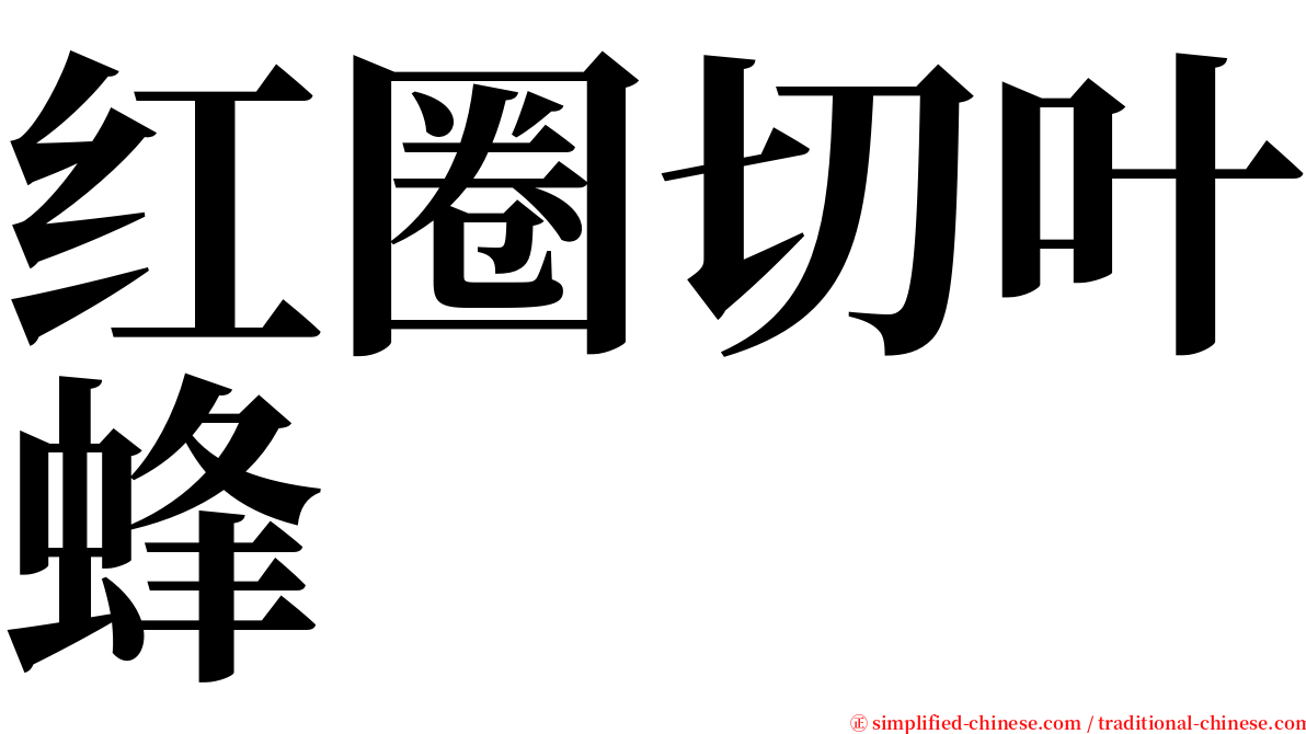 红圈切叶蜂 serif font