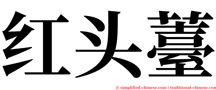 红头薹 serif font