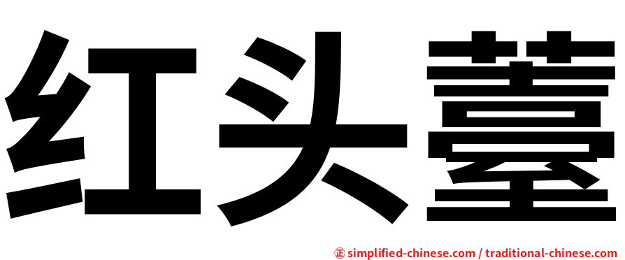 红头薹