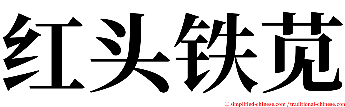 红头铁苋 serif font