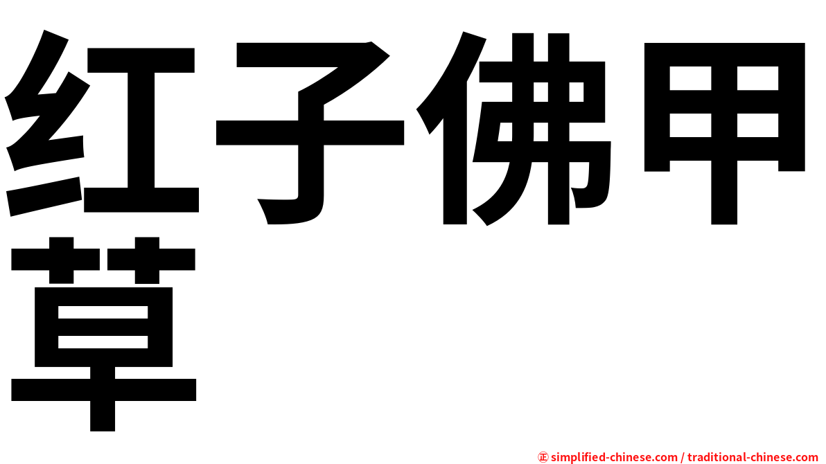 红子佛甲草