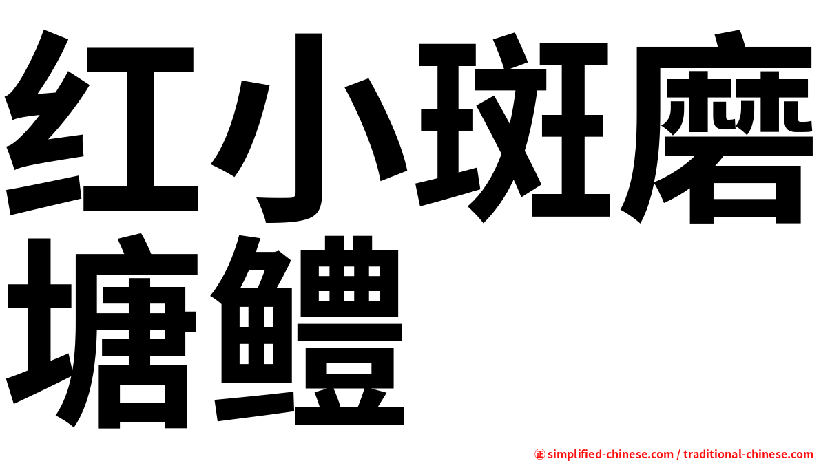 红小斑磨塘鳢