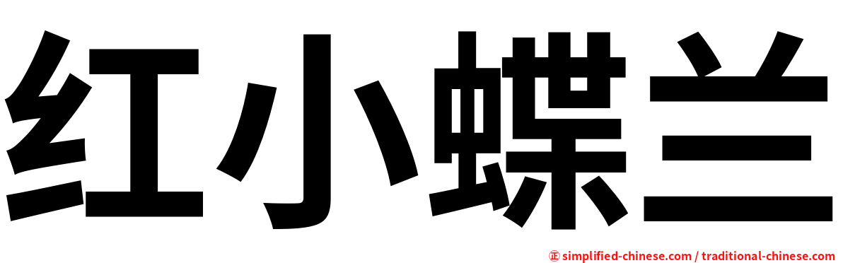 红小蝶兰