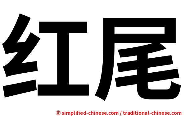 红尾