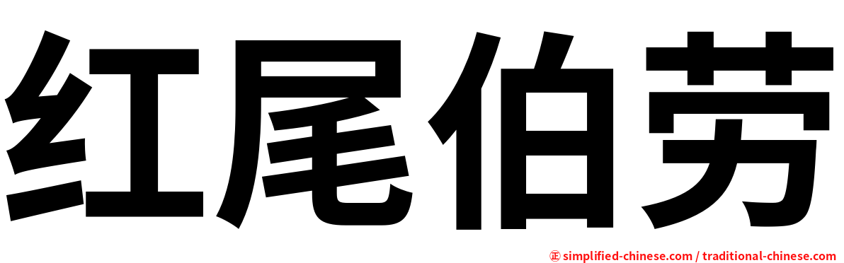 红尾伯劳