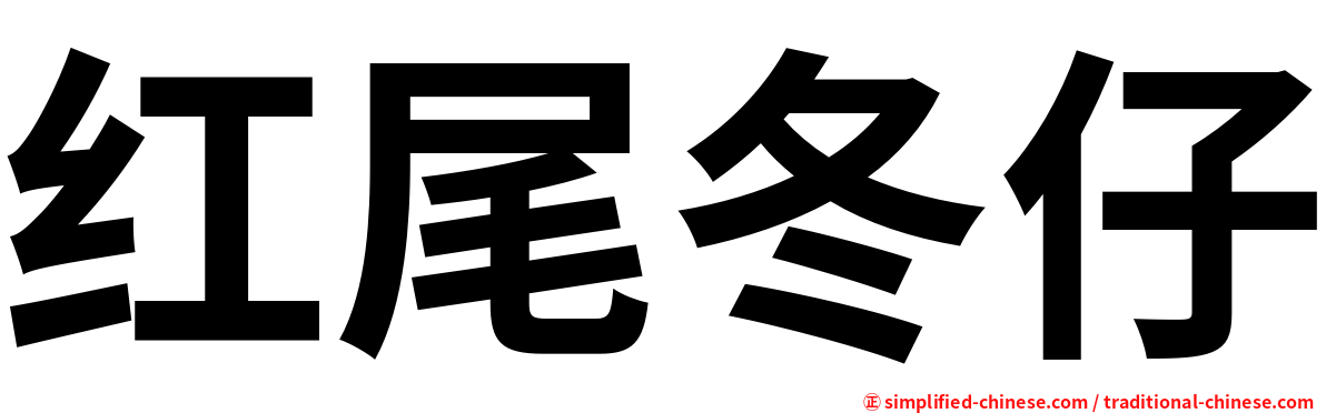 红尾冬仔