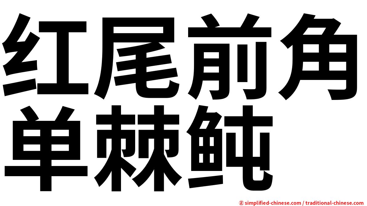 红尾前角单棘鲀