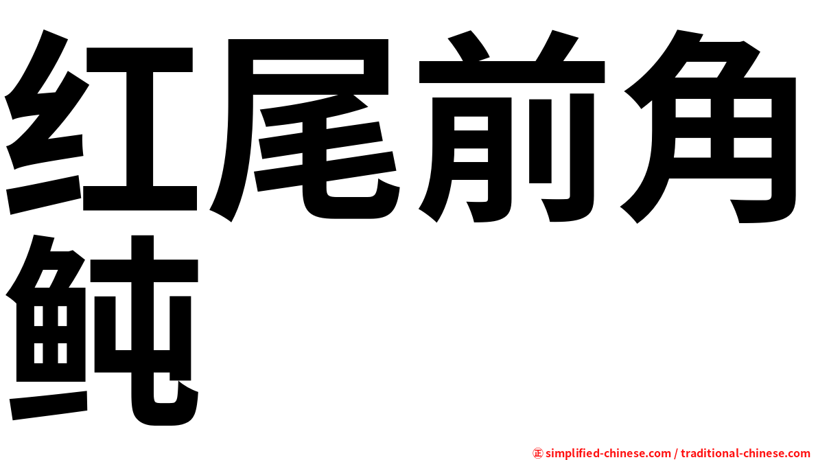 红尾前角鲀