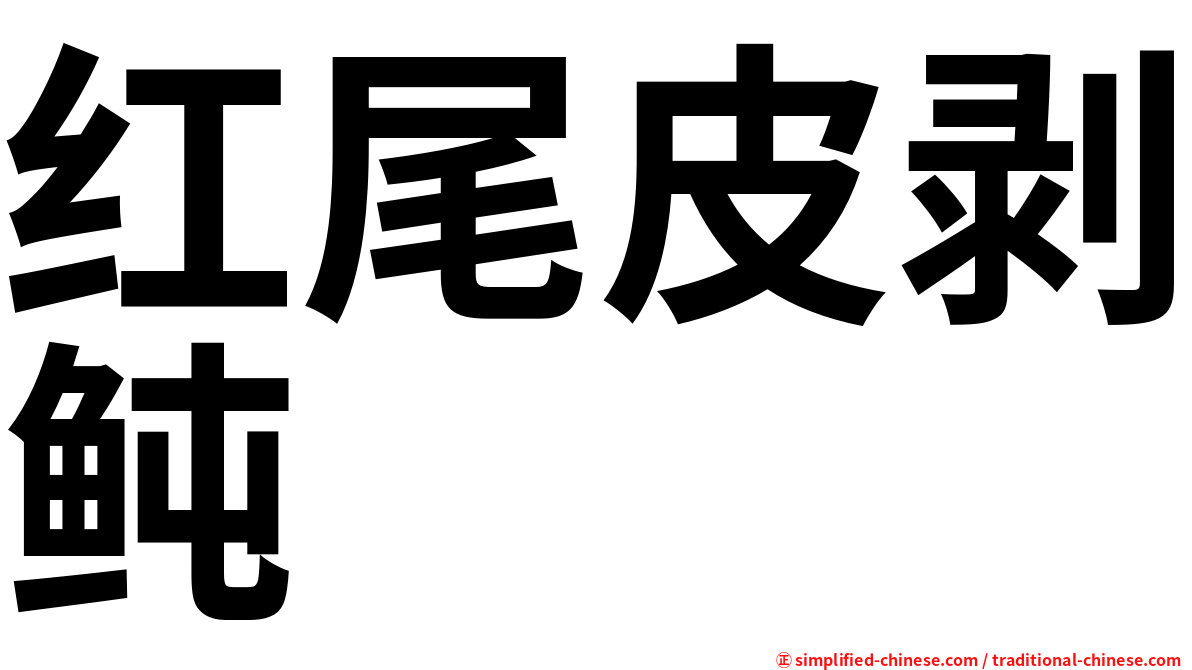 红尾皮剥鲀