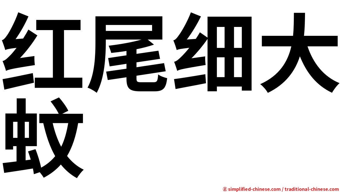 红尾细大蚊