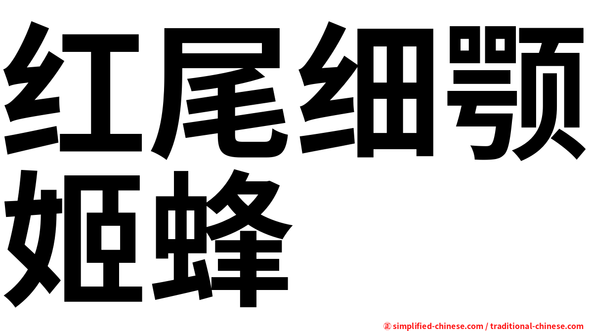 红尾细颚姬蜂