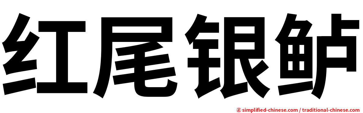 红尾银鲈