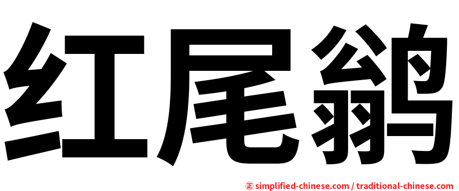 红尾鹟