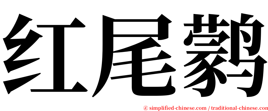红尾鹲 serif font