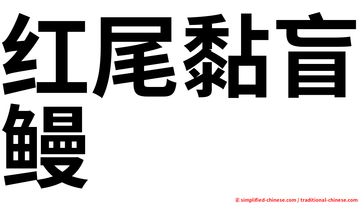 红尾黏盲鳗