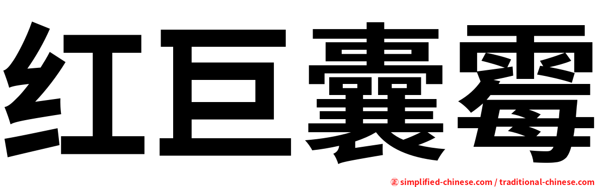 红巨囊霉