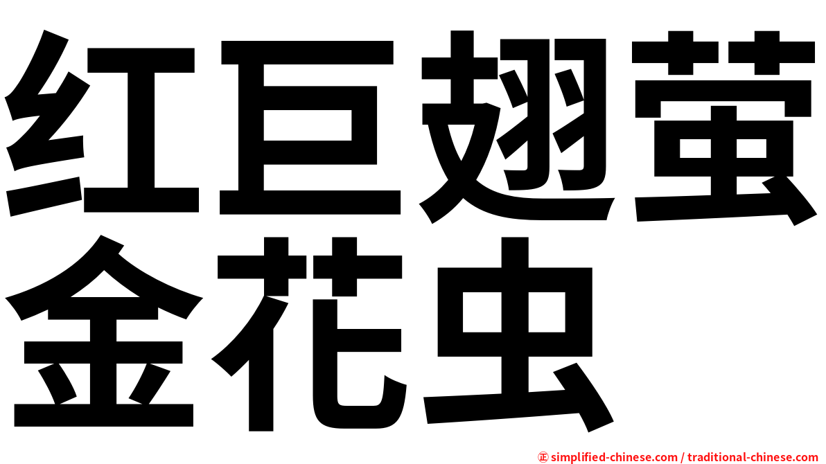 红巨翅萤金花虫