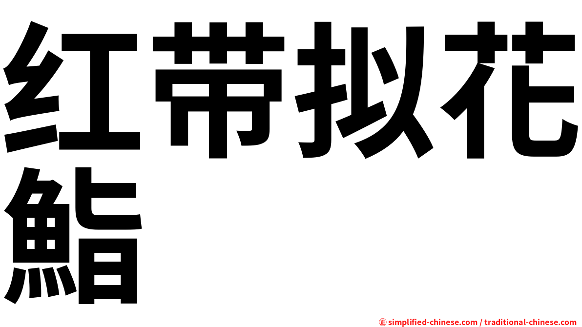 红带拟花鮨
