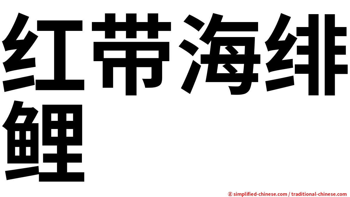 红带海绯鲤