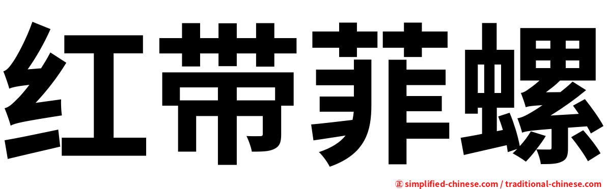 红带菲螺