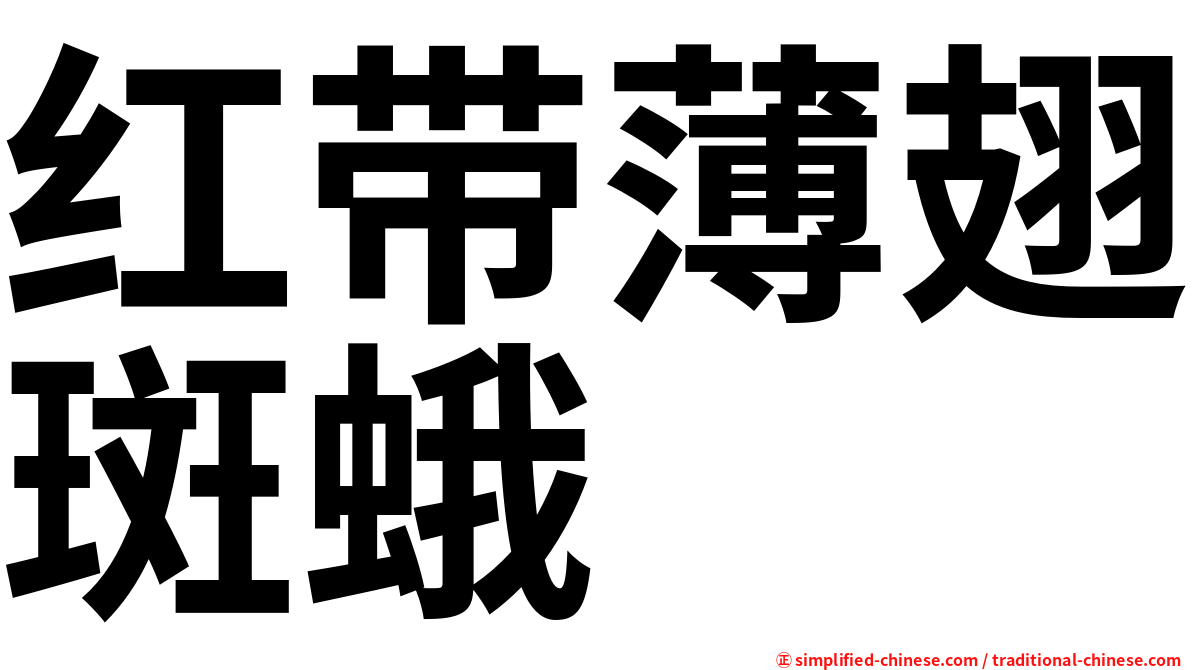红带薄翅斑蛾