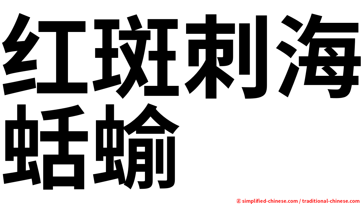 红斑刺海蛞蝓