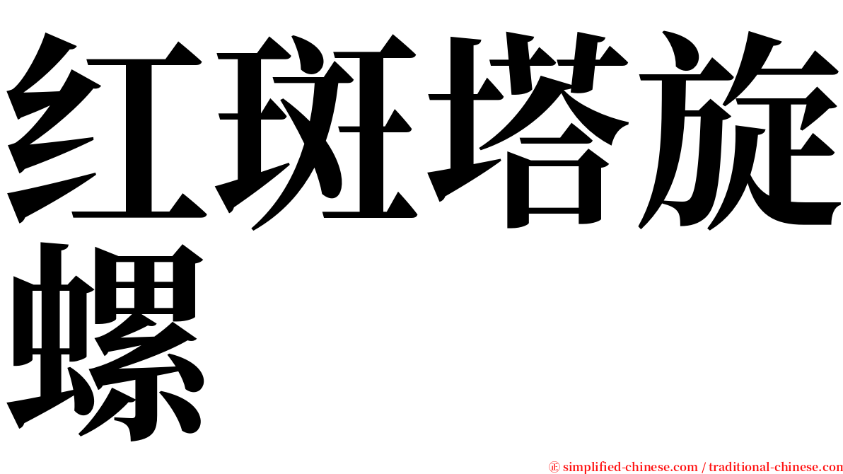 红斑塔旋螺 serif font