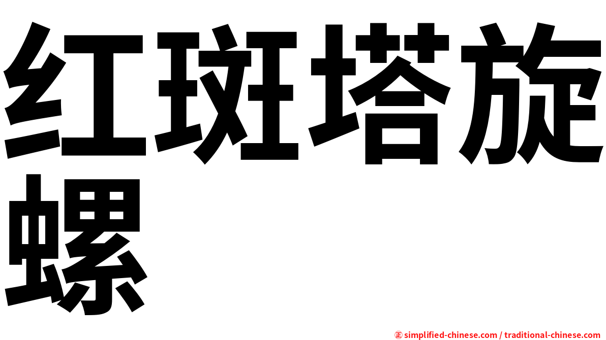 红斑塔旋螺