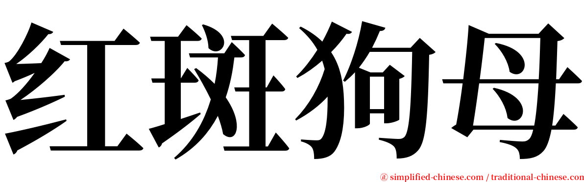 红斑狗母 serif font