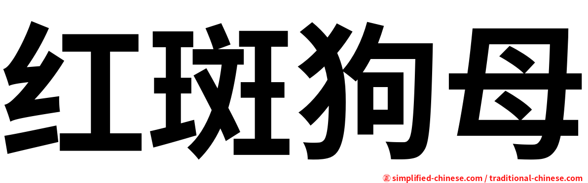 红斑狗母