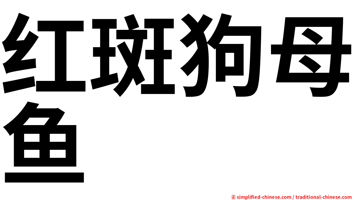 红斑狗母鱼