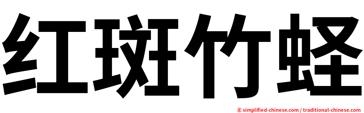 红斑竹蛏