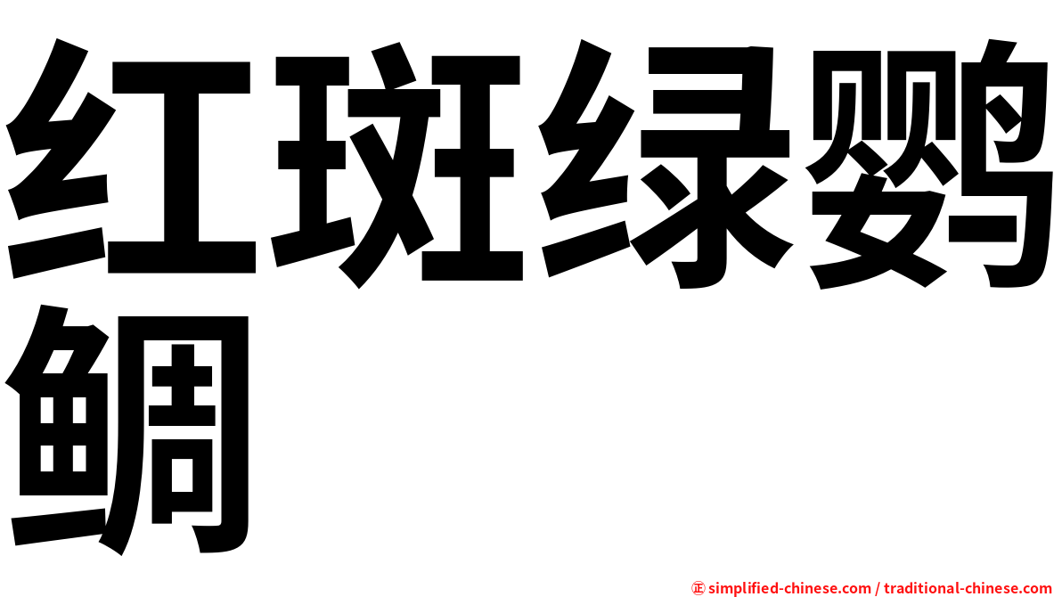 红斑绿鹦鲷