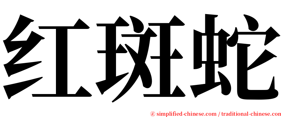 红斑蛇 serif font