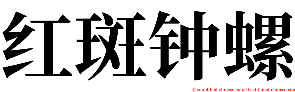 红斑钟螺 serif font